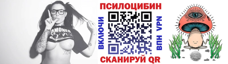 Псилоцибиновые грибы прущие грибы  Себеж 